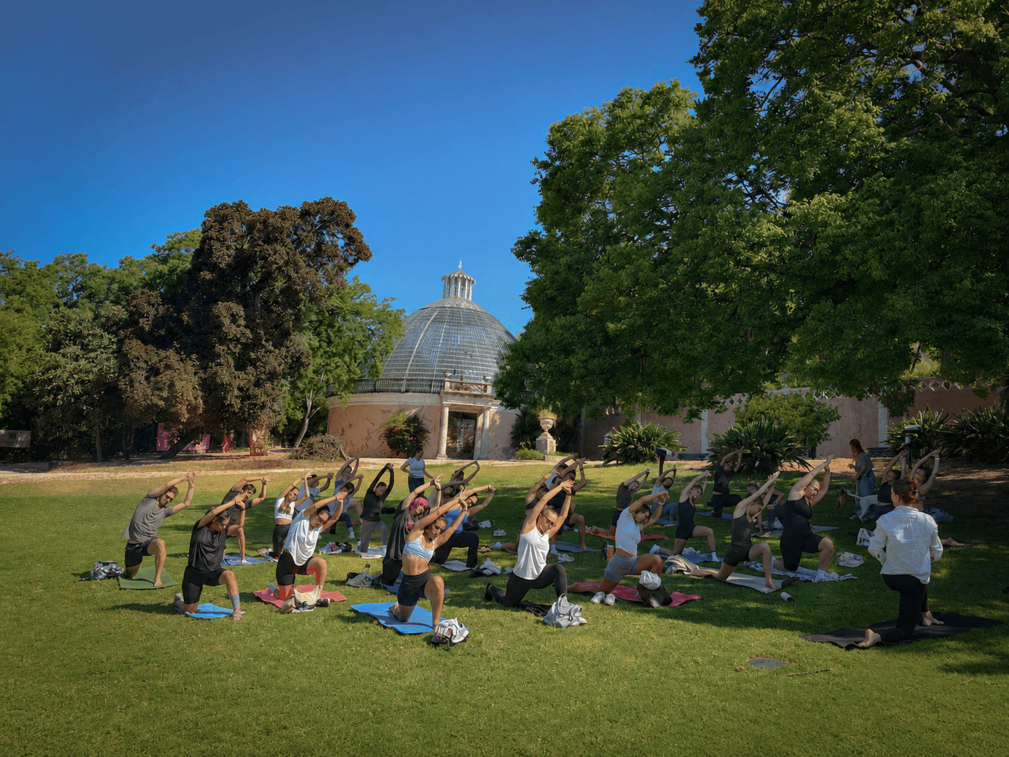 Yoga for Paws: Our Community Event for Animal Rescue